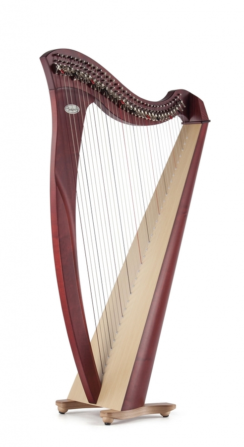 【初心者にオススメ！】Salvi Harps MIA （SILKGUTタイプ）