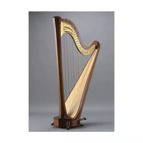 【吹奏楽・オーケストラ向けプラン】青山ハープ AMPHION　