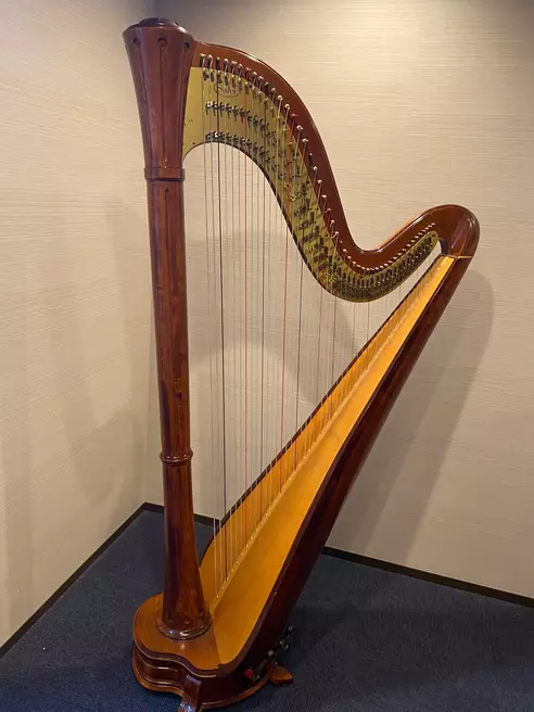 【吹奏楽・オーケストラ向けプラン】Salvi Harps Symphony46