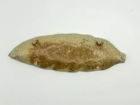 サムネイル2