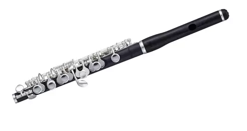 【新品】ピッコロ Pearl PFP-165E [RS308]