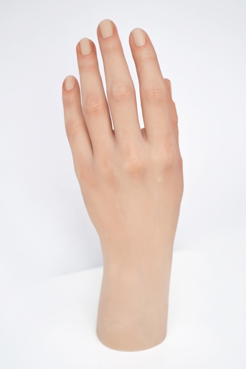 レンタル ALEANA HAND ハーフフット右足Life Like Winter |Sakura Saku Art