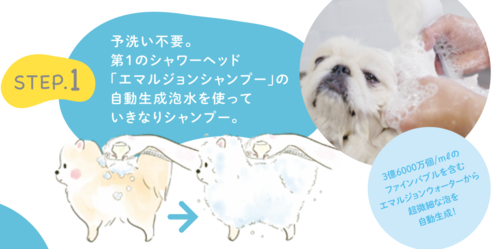 サムネイル4