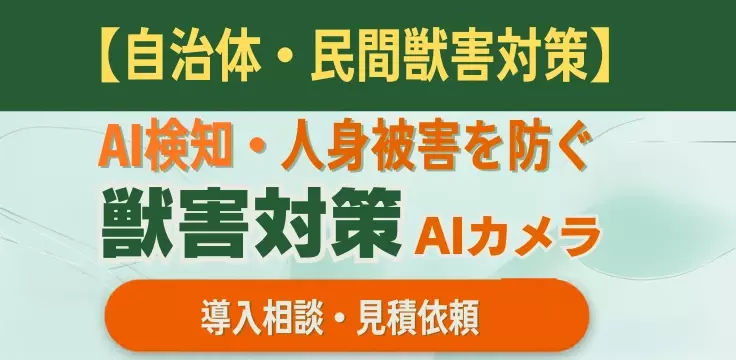 特集