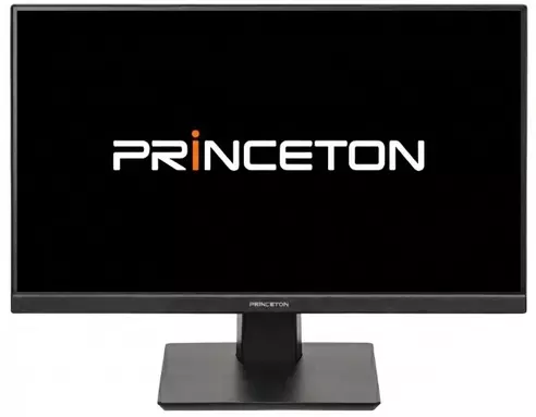 Princeton PTFBFE-24W 23.8インチ フルHD レンタル