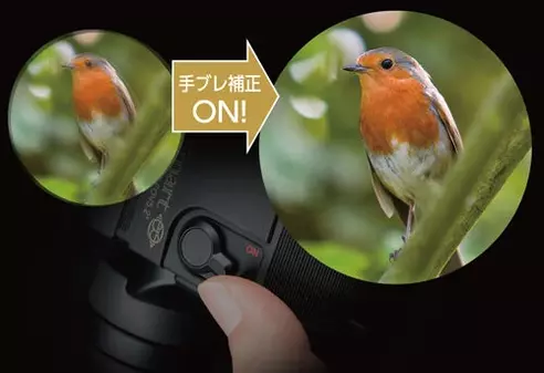 サムネイル3