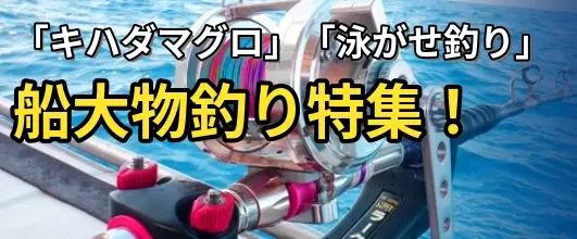 特集