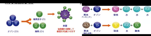 サムネイル3